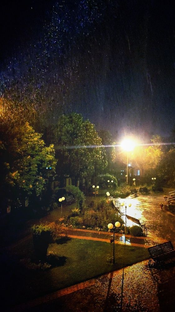 Photograph by Алла Холодова