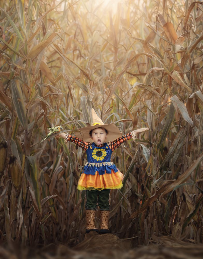 Photograph by Meilleurs Moments