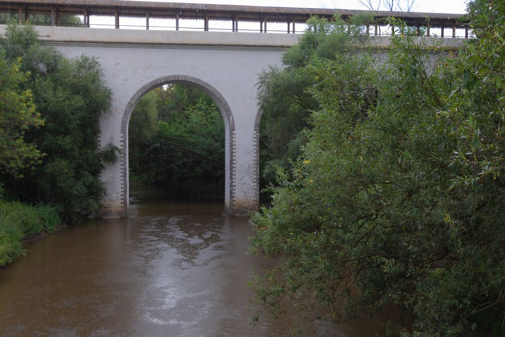 Photograph by Светлана Верзилина