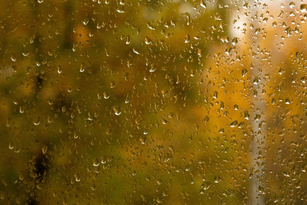 Photograph by Светлана Верзилина