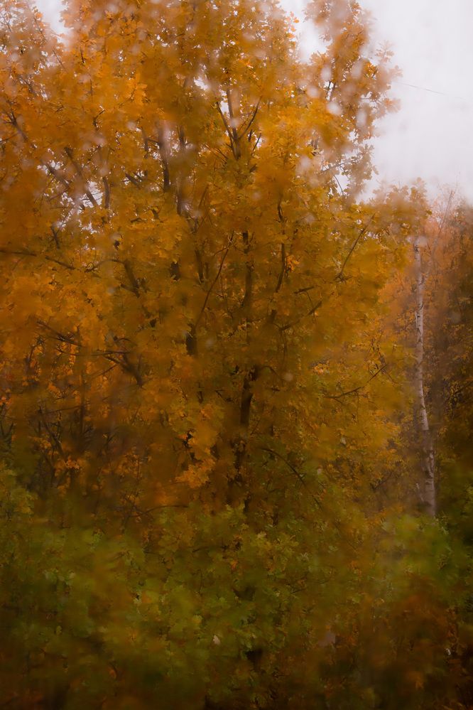 Photograph by Светлана Верзилина