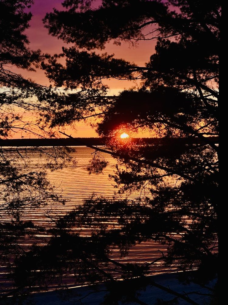 Photograph by Михаил Дагаев