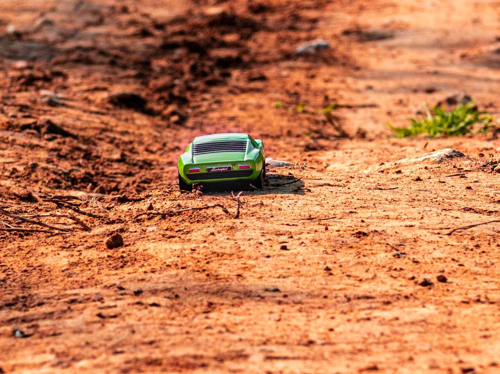 Photograph by Сергей Аникушин