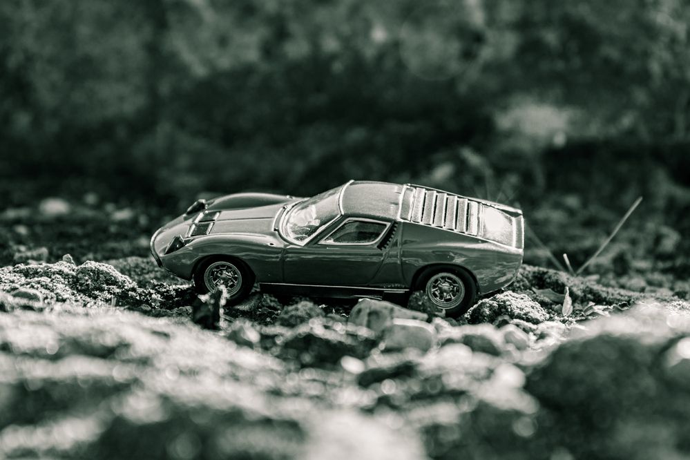 Photograph by Сергей Аникушин