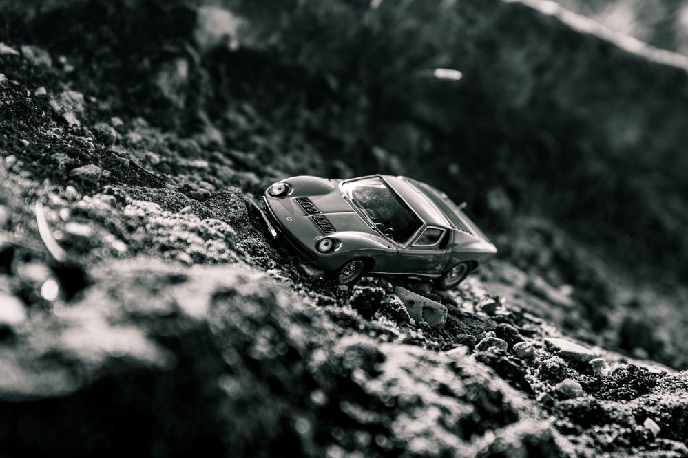 Photograph by Сергей Аникушин