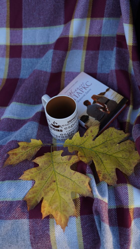 Фотография автора Алена Баулина