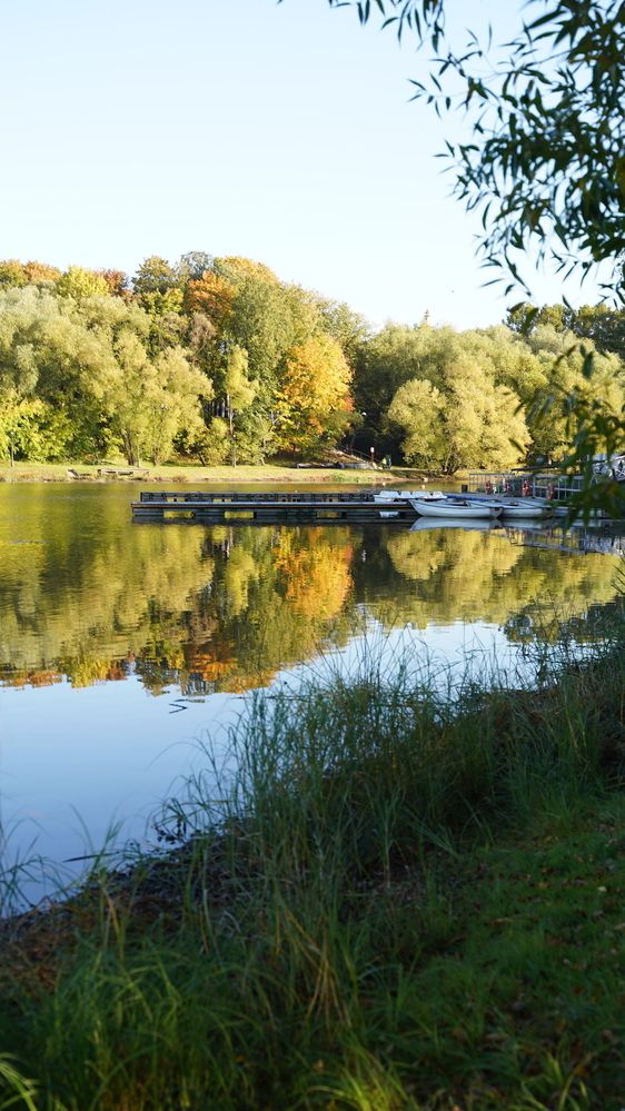 Фотография автора Алена Баулина