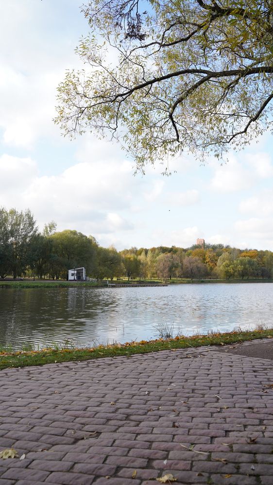 Фотография автора Алена Баулина