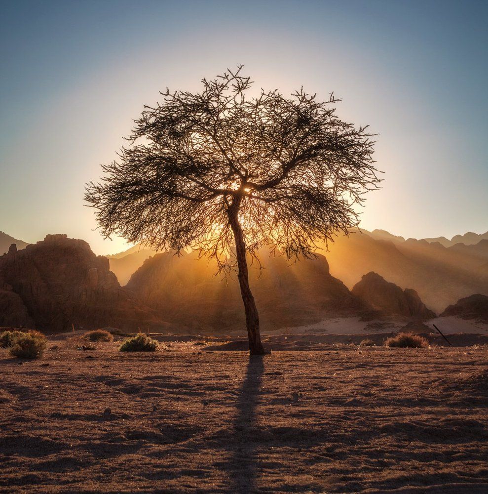 Пыльный закат