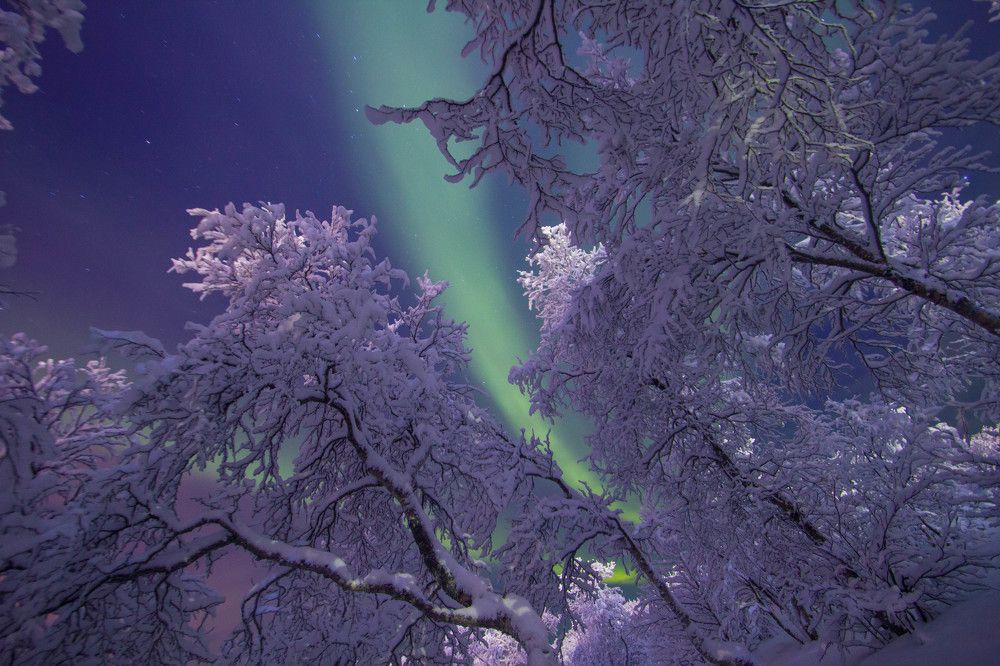 Сказочная зима