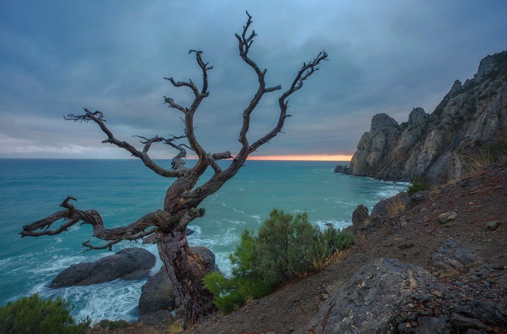 Страж бухты