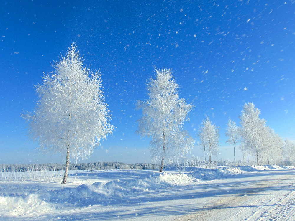 Photograph by Пихтерева Анна