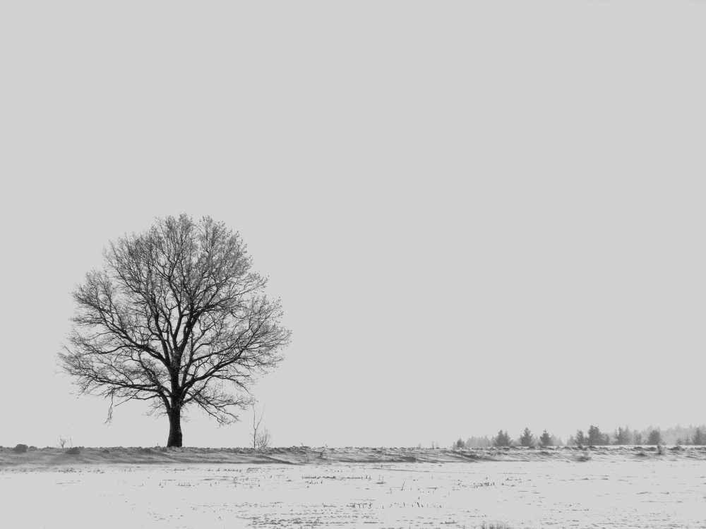 Photograph by Пихтерева Анна