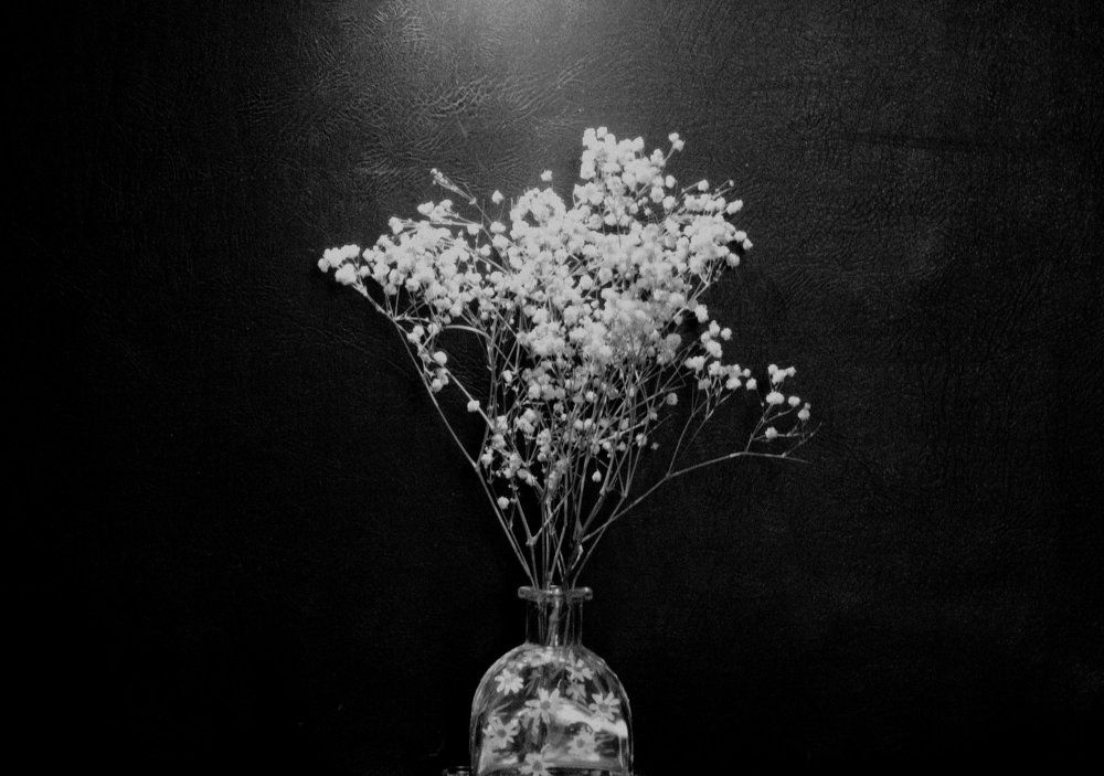 The Muse
