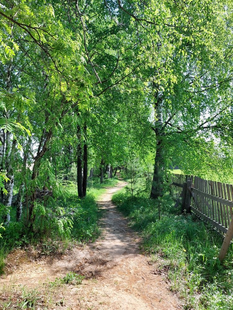 Photograph by Ольга Харина
