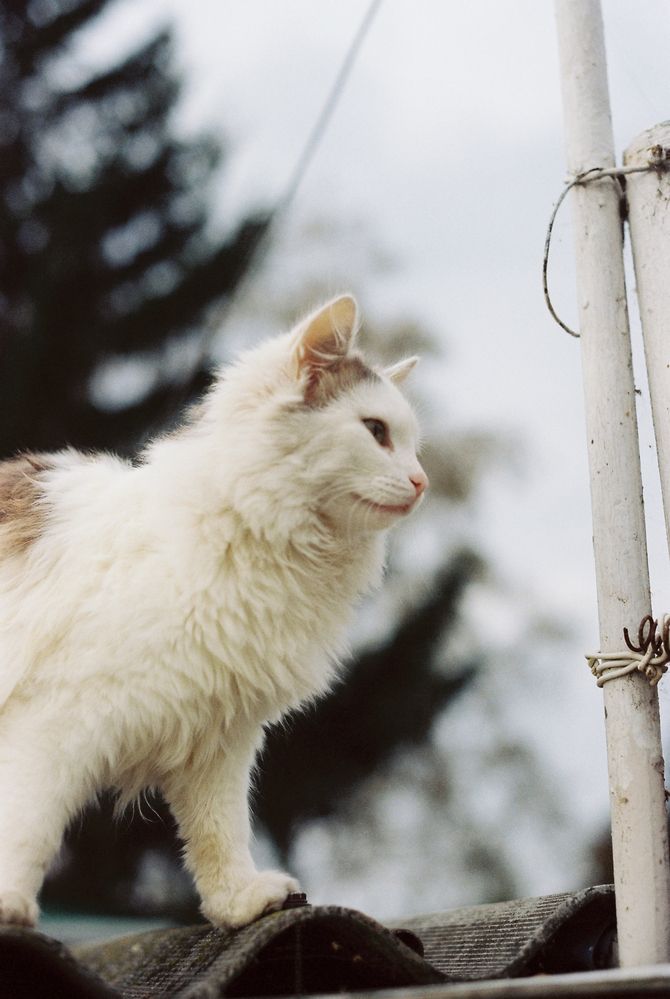 Photograph by Сергей Данилов