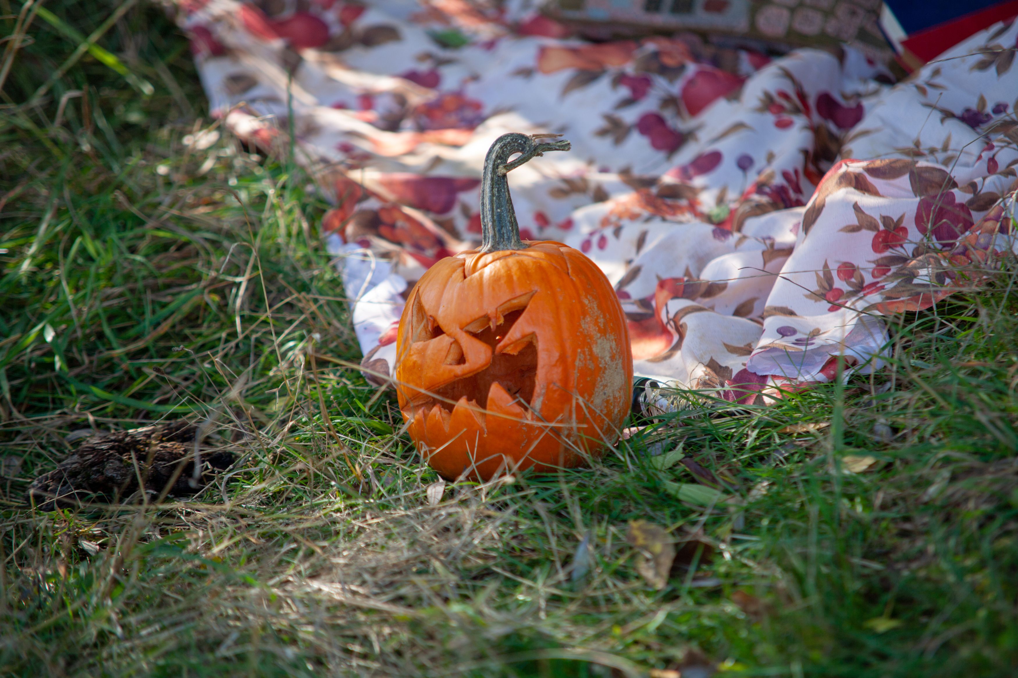 Photograph by Виталий Маслов