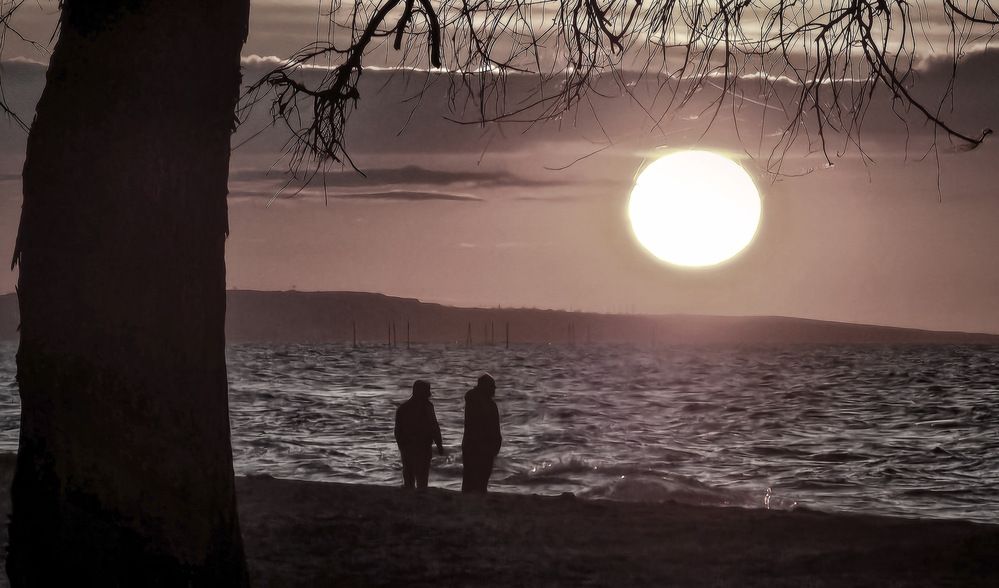 Photograph by Пирог Борис