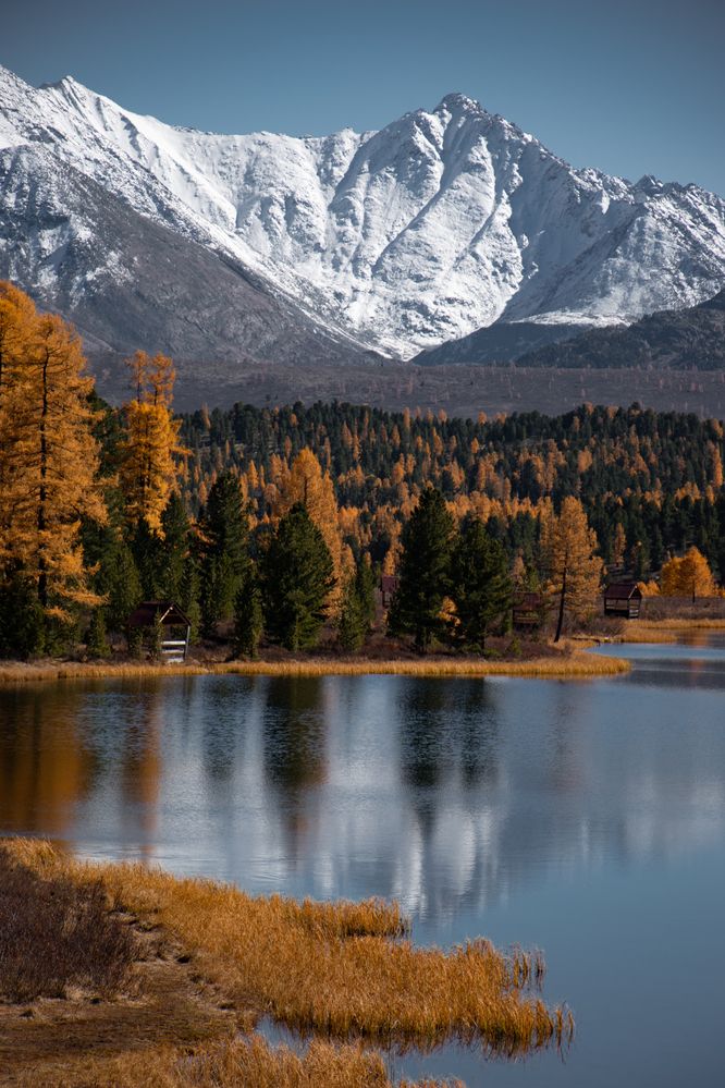 Фотография автора Эльвира Чернова