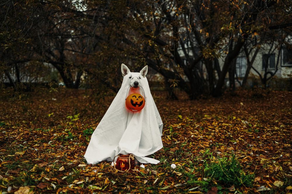 Фотография автора Марина Дятлова