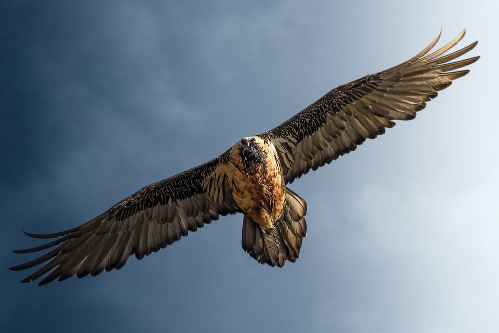 Фотография автора Илья Купчиков