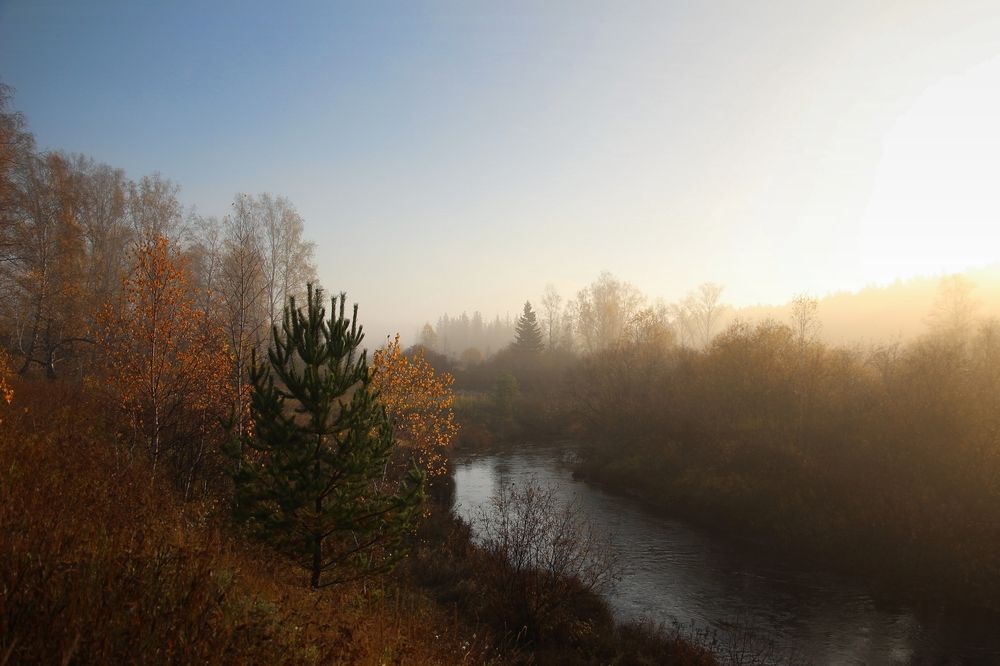 Photograph by Елена Федорова