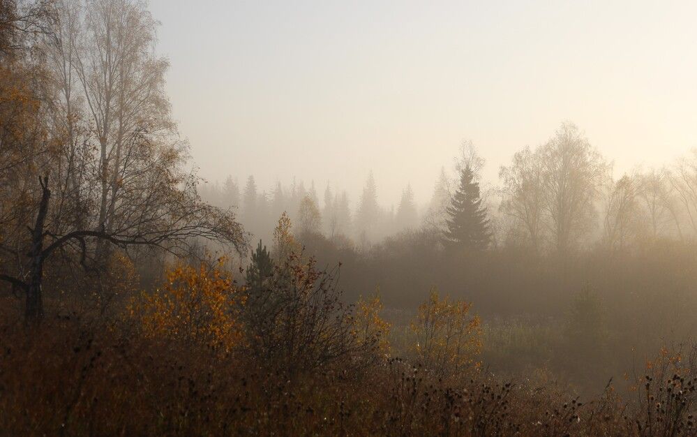 Photograph by Елена Федорова
