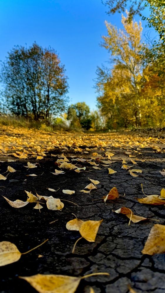 Photograph by Марина Козлова