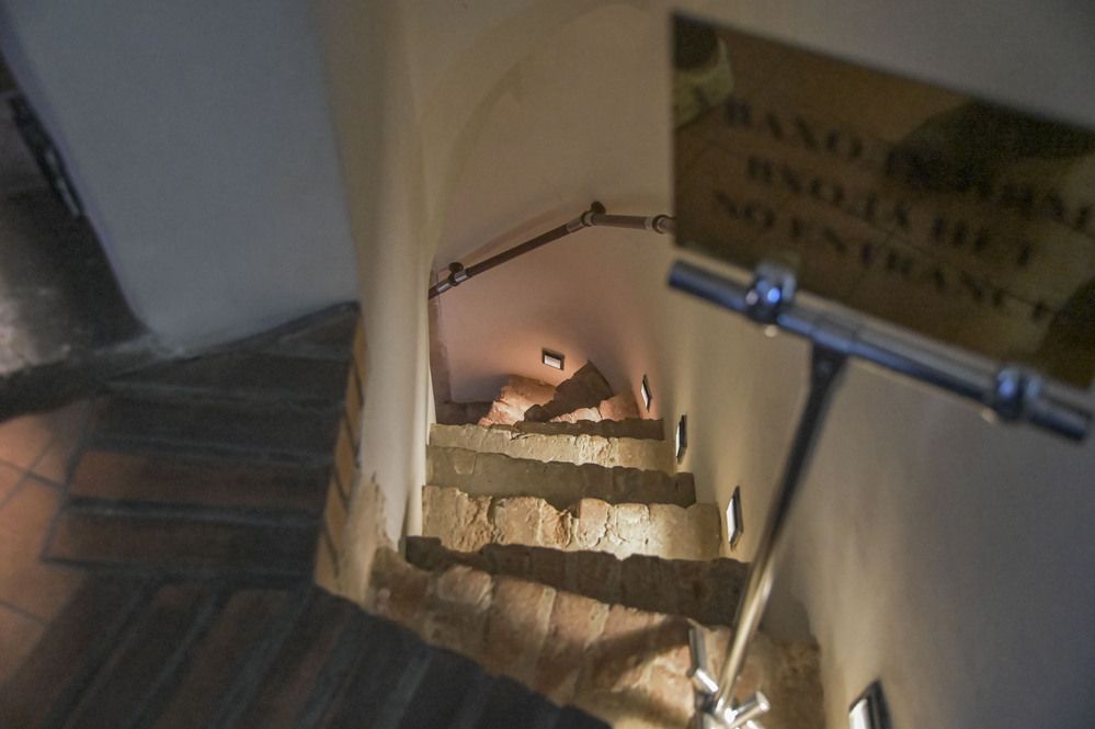 Photograph by Алексей Логинов