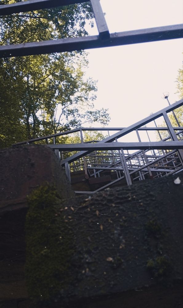 Photograph by Савина Анастасия Николаевна