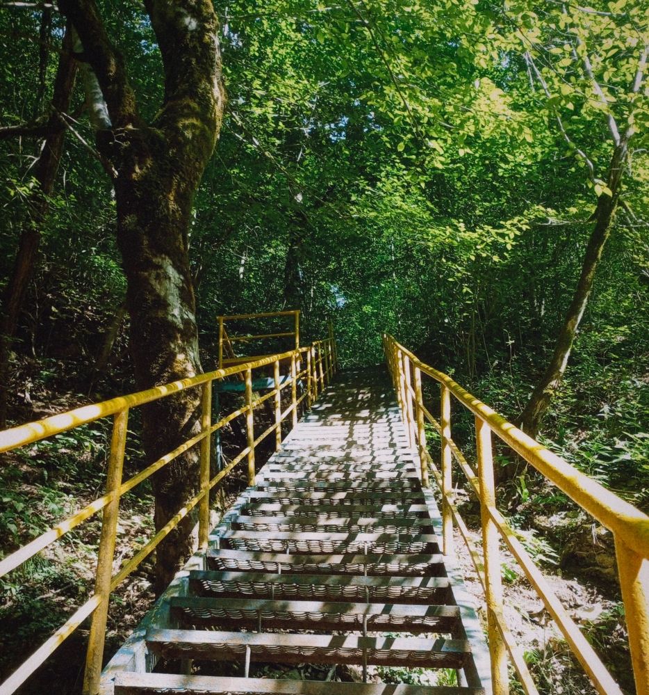 Photograph by Савина Анастасия Николаевна