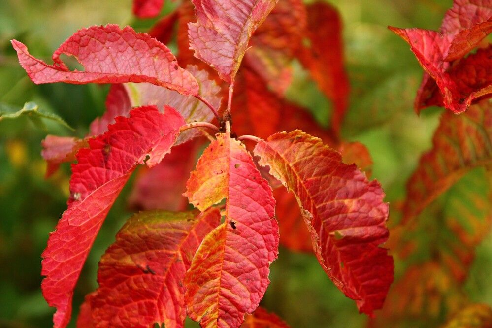 Photograph by Maciej Morgiel