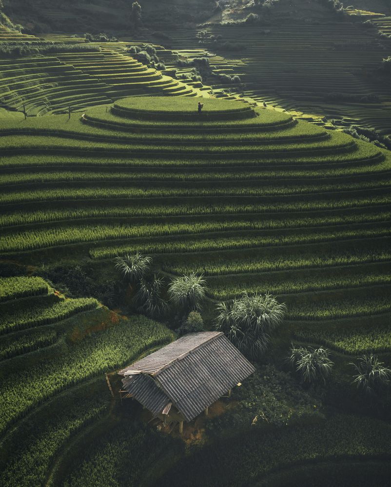 Photograph by Vu Khoa Nguyen Khanh