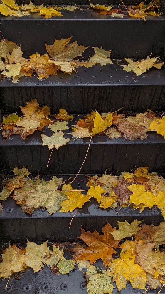 Фотография автора Васильева Ирина