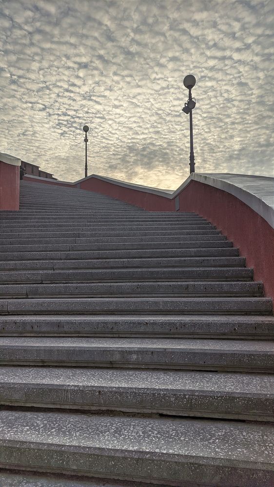 Фотография автора Васильева Ирина