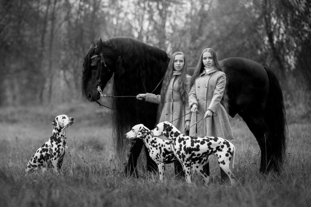 Photograph by Онучина Юлия