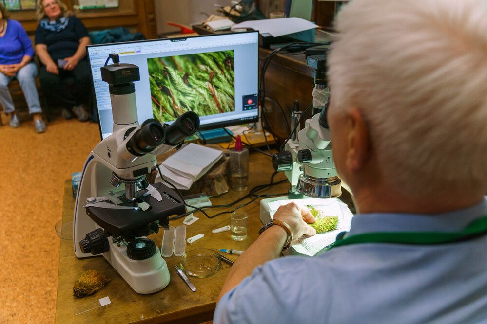 Photograph by Дарий Остахов