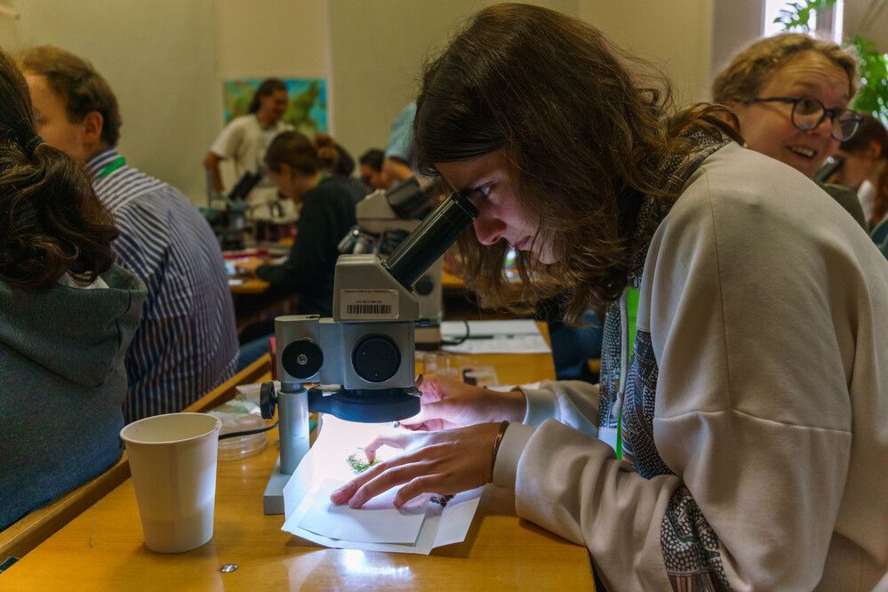 Photograph by Дарий Остахов