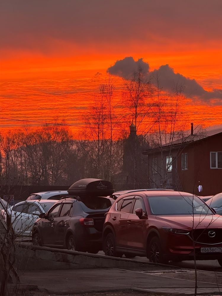 Photograph by Марина Голубкова