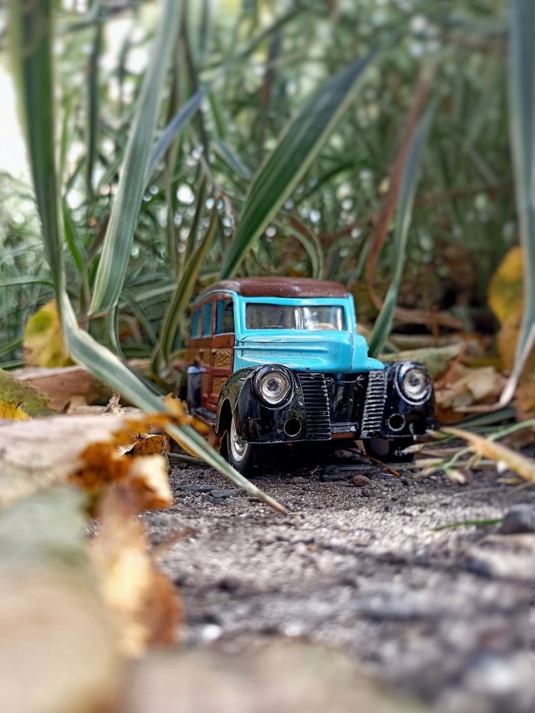 Фотография автора Татьяна Шахова