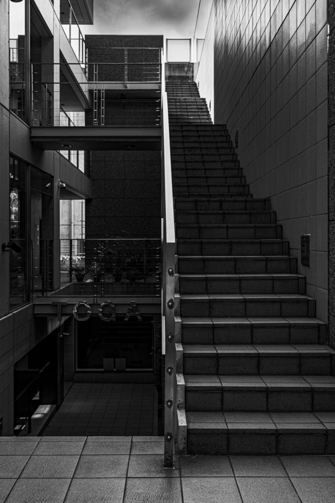 Photograph by Suzuki Ryuta