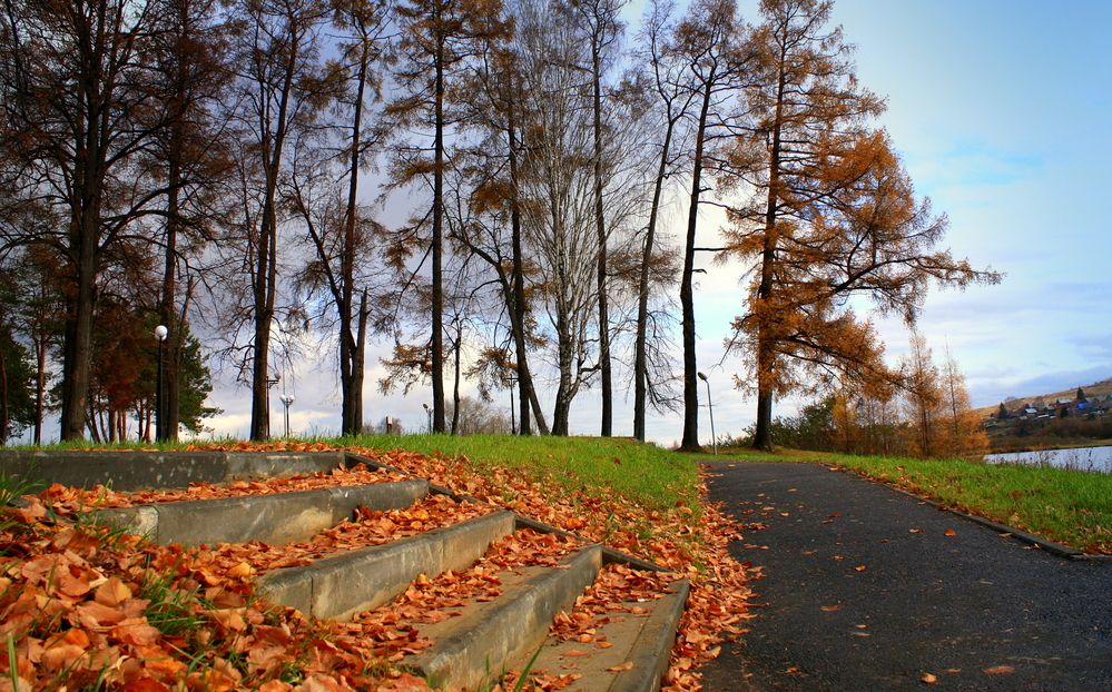 Фотография автора Nelya  Lysenko