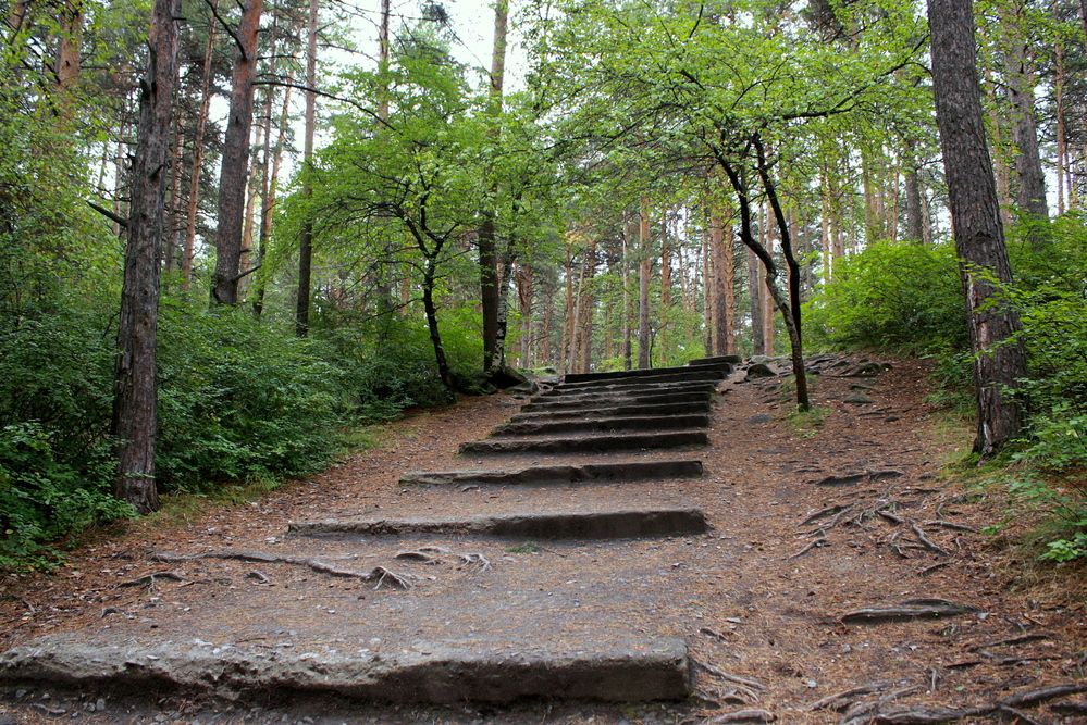 Фотография автора Nelya  Lysenko