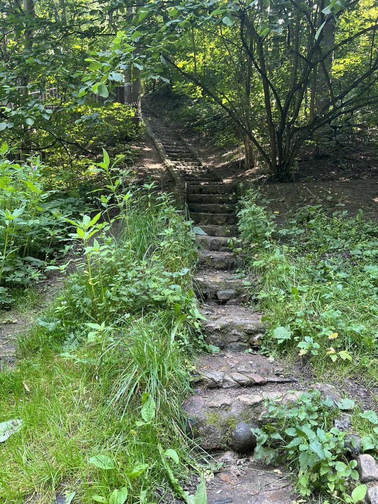 Фотография автора Irina Ginbert