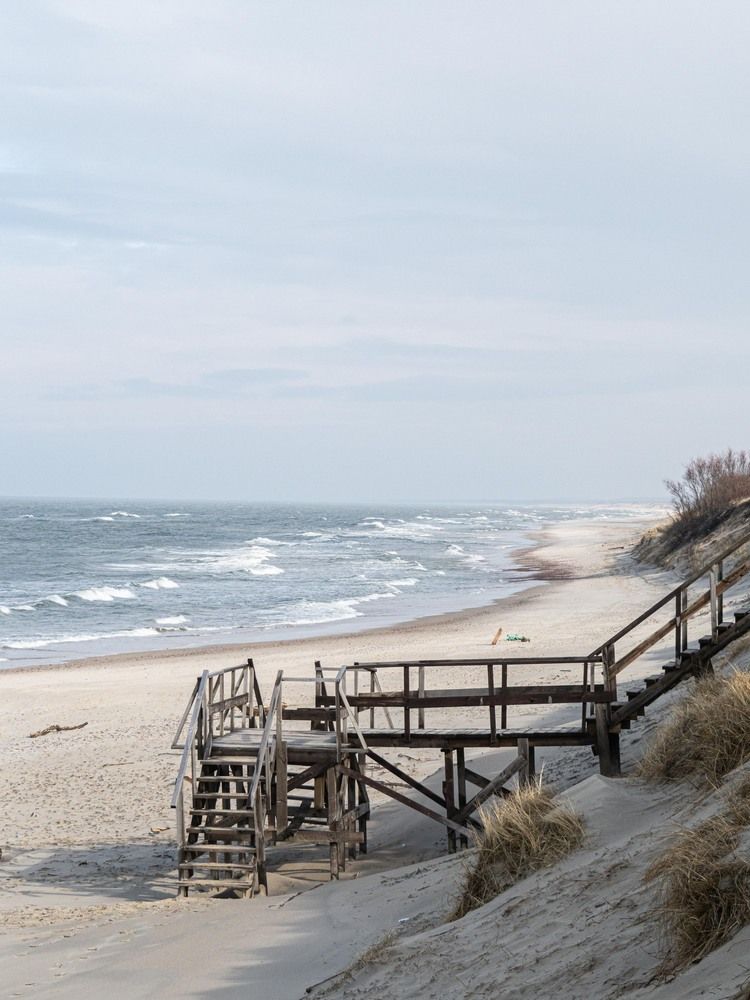 Фотография автора Доляна Горохова