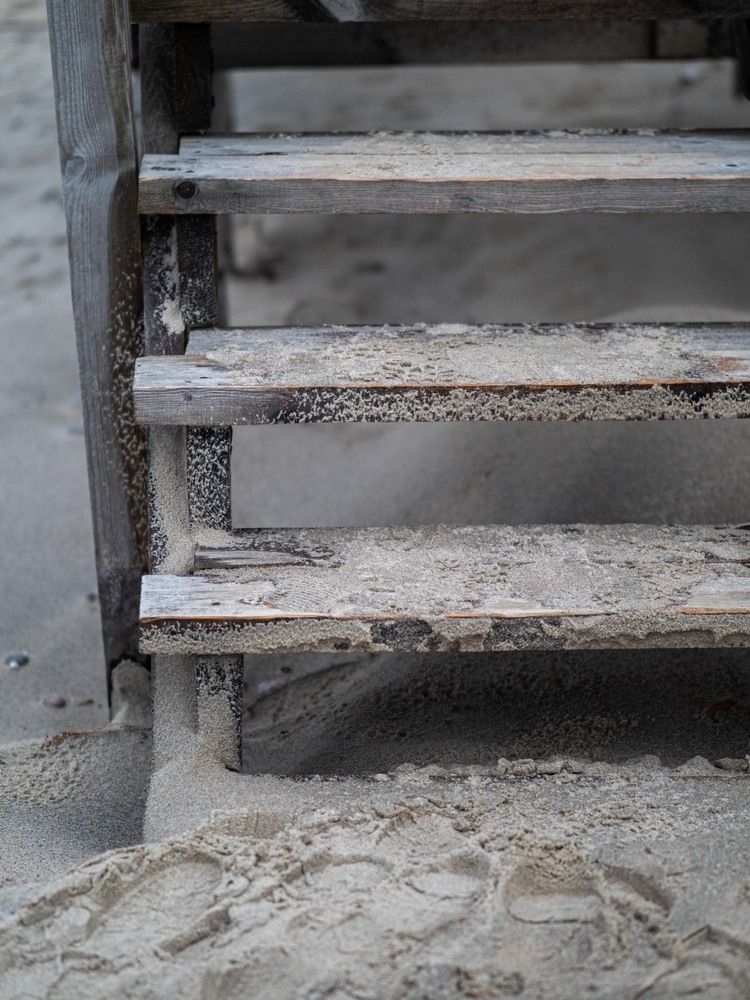 Фотография автора Доляна Горохова