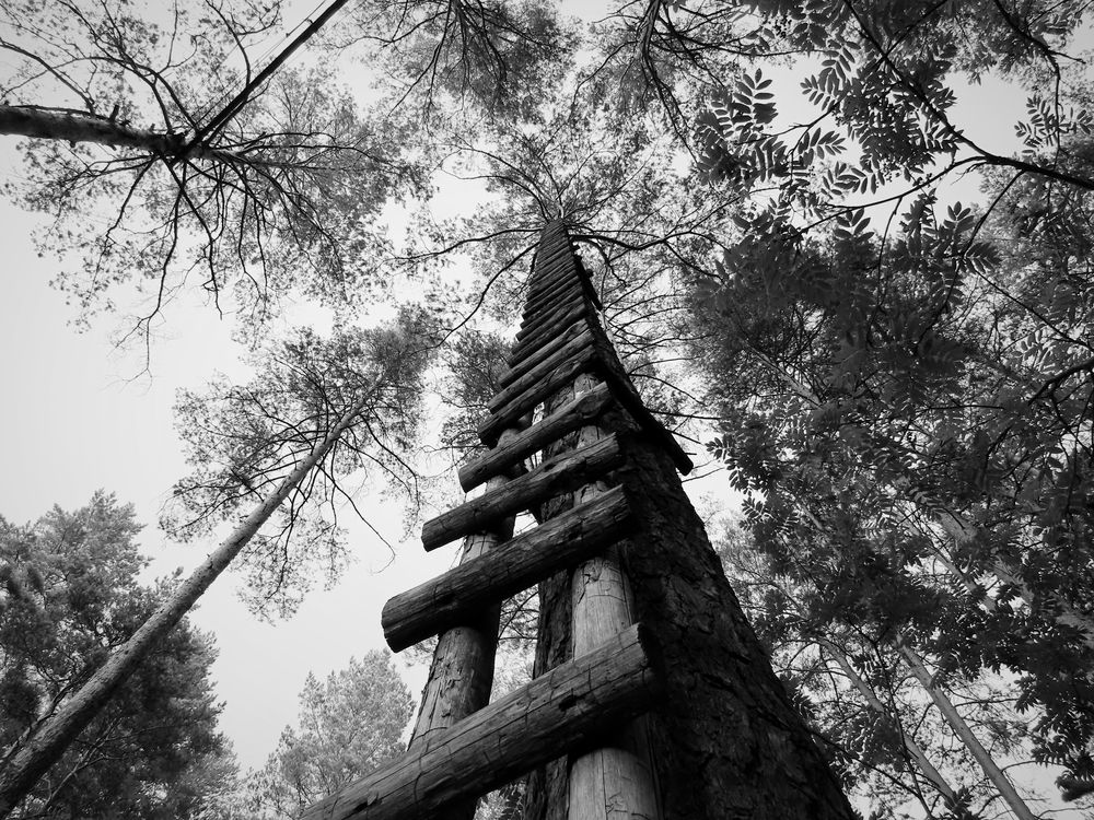 Лестница в небо