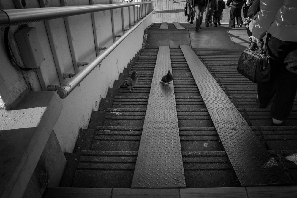 Фотография автора Татьяна Сергиенко