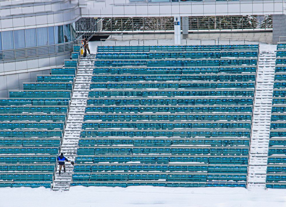 Фотография автора Татьяна Сергиенко