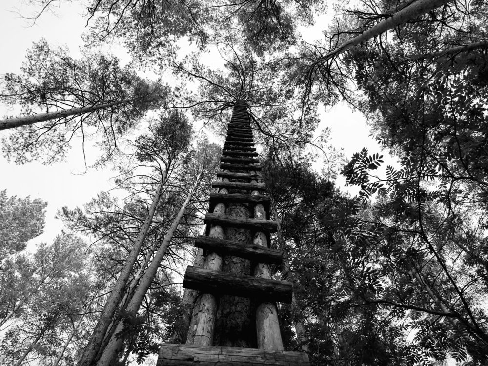 Фотография автора Екатерина Солохина